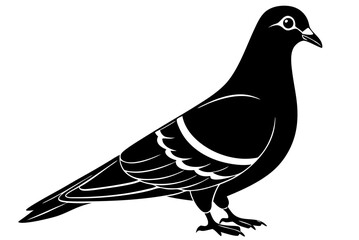 dove of peace
