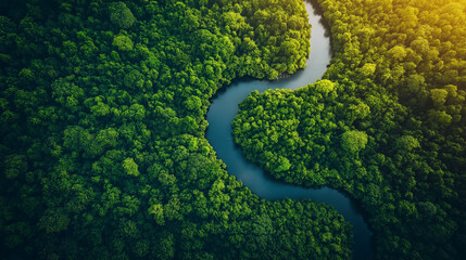 Fototapeta premium Aerial View of Lush Green Rainforest with Winding River at Sunrise