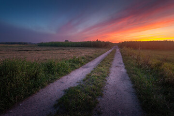 Colorful sunset over a rural landscape with fields and a dirt road, Nowiny, Lubelskie, Poland
