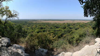 Panoramic view of vast, serene landscape; lush green forest canopy stretching to distant plains under a clear blue sky, seen from an elevated rocky vantage point.