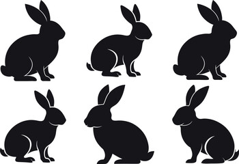 illustration of rabbits