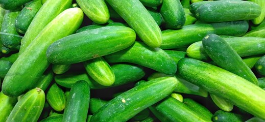 Fresh green cucumbers fruit or timun background for sale at traditional market