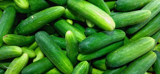 Fresh green cucumbers fruit or timun background for sale at traditional market
