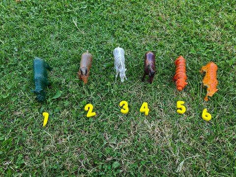 Animal toys isolated over background.