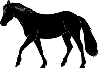 silhouette of a horse