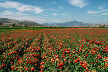 Greeting card with bright holiday composition for celebrate la tomatina