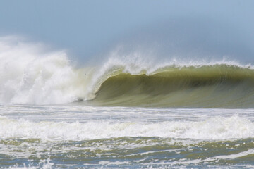 Dia de surf na Praia Brava