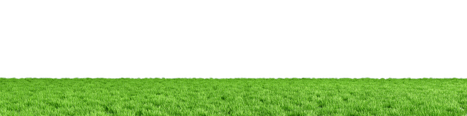 Obraz premium green grass field isolated on white background