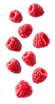 Fresh raspberries falling isolated on transparent background