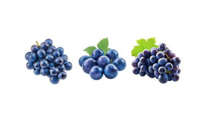 Bunch of grapes isolated on white background.
