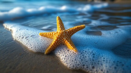 Starfish on Sandy Beach near Ocean Waves