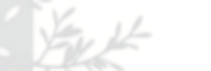 A subtle pattern created by shadowed branches against a white background is used for decorative purposes in interior design._00001_