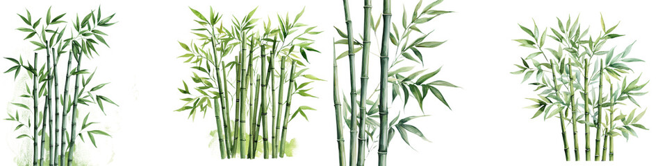 Fototapeta premium Vibrant Watercolor Bamboo Forest Scenery with Lush Foliage Tranquil and Peaceful Nature Landscape with Flourishing Bamboo Plants and Green Leaves