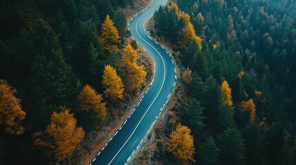 Naklejka premium Scenic Winding Road Through Autumn Forest with Vibrant Foliage
