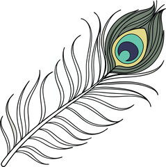 Obraz premium beautiful-peacock-feather-vector-design- (1).eps