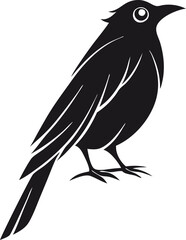 Bird icon, silhouette, logo on white background