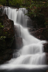 Fototapeta premium waterfall in the forest