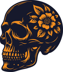 Human Skull Illustration for Medical or Artistic Projects
