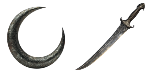 Crescent Shaped Curved Dagger Medieval Fantasy Weapon for Combat and Defense Sharp Steel Blade with Ornate Hilt and Guard Ideal for Action Adventure and Thriller Scenes