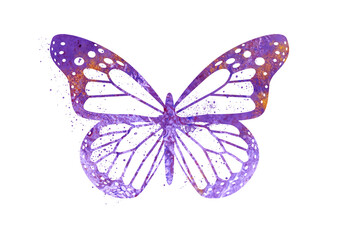 Watercolor Butterfly, Abstract Butterfly, Colorful Butterfly, Butterfly Illustration, Butterfly Drawing, Butterfly