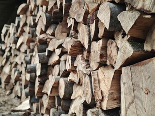Stacked firewood storage for winter preparation