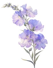 A watercolor flower