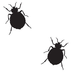 Beetle Silhouette, Beetle Vector Silhouette, Beetle cartoon Silhouette, Beetle illustration, Beetle icon Silhouette, Beetle Silhouette illustration