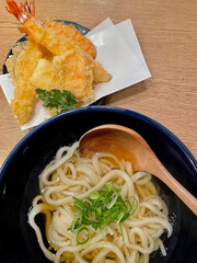 bowl of Japanese tempura udon