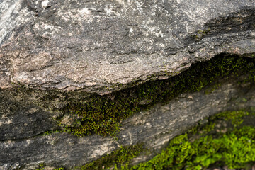 Weathered Rock With Natural Moss Growth