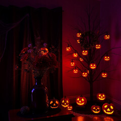 Halloween pic with pumpkin pic  