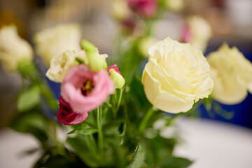 image with a rose in blur, selective focus