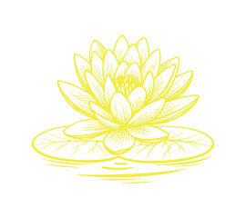 Water Lily icon vector