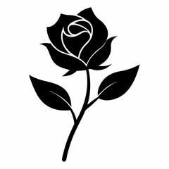 black rose vector