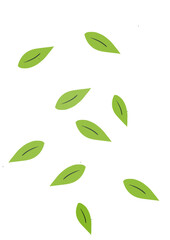 green leaves vector