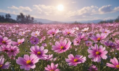Fototapeta premium A sea of cosmos flowers sways gently in the breeze, showcasing vibrant pink and purple hues against a soft blue sky, cosmos flowers, wildflowers
