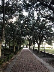 path in the park