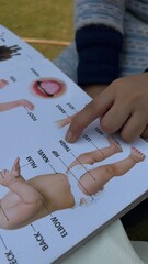 Obraz premium Homework Practice, Reading, Writing, Drawing