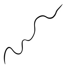 Hand drawn line  line doodle  curve  spiral line