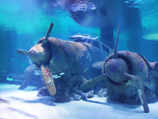 Sculpture of a sunken old airplane with a propeller in a blue aquarium with decorative fish