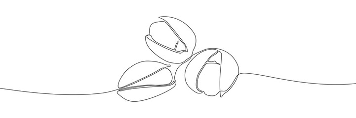 Pistachio nut continuous line drawing vector illustration