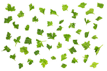 Fresh green  parsley leaves isolated on white background and texture, top view