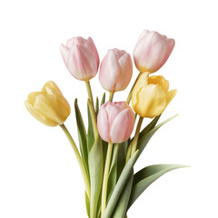 Naklejka premium Pastel Tulips Bouquet 