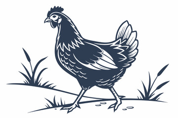 Hen, A chicken standing upright with a small comb and beak vector silhouette on a white background