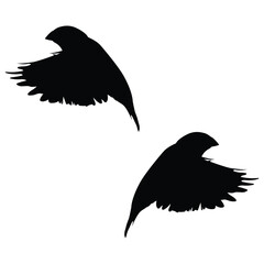 Birds Silhouette, Birds Vector Silhouette, Birds cartoon Silhouette, Birds illustration, Birds icon Silhouette, Birds Silhouette illustration