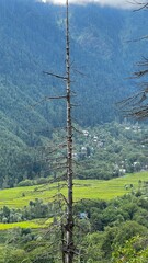 Obraz premium Kashmir Mountains, Valleys, and Countryside Charm Across Spring Landscapes in Asia and Europe
