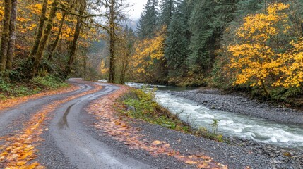 Obraz premium Winding Trail Through Forest with Scenic River View