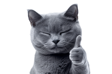 a cat with a thumb up