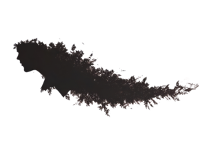 Stunning aerial view of a mountainous landscape under a twilight sky.