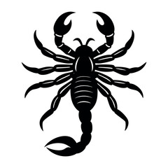 scorpion silhouette isolated on white background