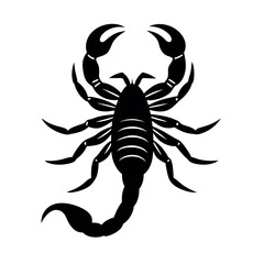 scorpion silhouette isolated on white background